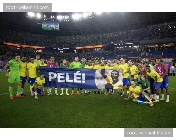 茹萨七十三次成功传球 蓉城巴西中场成亚精英赛即插即用典范